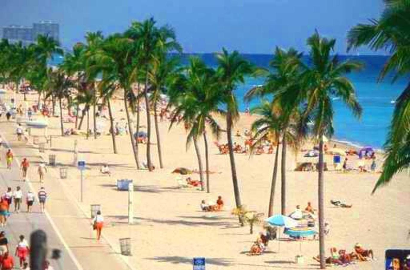 Hollywood Vacation Mins To Beach & Hard Rock #193 Leilighet Eksteriør bilde